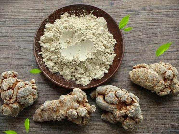 Tam thất bắc với bệnh u xơ tử cung